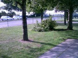 Area to be used for the Sensory Garden